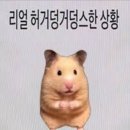 [덕질기행문/은혁서울솔로콘서트] 여기가 콘서트장이예요? 클럽이예요? 1편