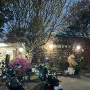 여우골옻닭 | 파주 몸보신 옻닭 백숙 전문점 '다리목옻닭'