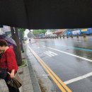 금빛 | 서해금빛열차 후기, 수원역에서 출발한 당일치기 기차여행