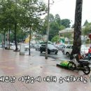 개이발소 Daum카페