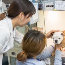 치유동물의료센터 이미지