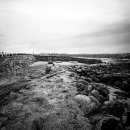 동일리-6 이미지