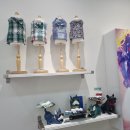 루비 애견샵 이미지