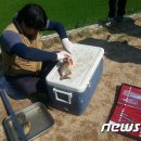 마옥환경 이미지