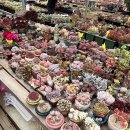 처음농장 이미지