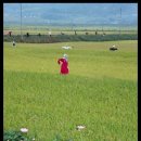 들녘 옷 이미지