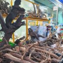 성인용품소매점 이미지