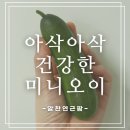 [알찬연근팜] 초생재배 미니오이 1kg후기 / 아삭한 스낵오이로 등산 간식으로 완벽!