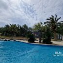 휘닉스 실외수영장 이미지