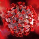 주식회사 에스디바이오 이미지