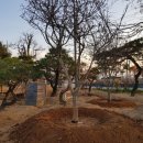 서부농장 이미지