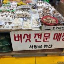 서당골농장 이미지