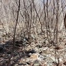 너래농원 이미지