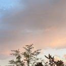 도학농장 | 우리가 맞다는 대답을 할 거예요