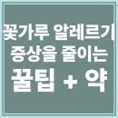 우리네온누리약국 | 꽃가루 알레르기 증상 완화하는 꿀팁 10가지 + 추천 약까지!