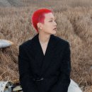 프로젝트 아메바 스포츠경향