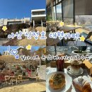 연꽃어린이공원 화장실 | [아산 신정호 대형카페] 웜사이트 온양 - 루프탑 호수뷰·베이커리 맛집 + 연꽃공원 산책코스 총정리