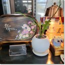 거제꽃날펜션.리조트 이미지