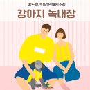눈이튼튼 동물병원 이미지