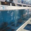 위미중앙로 이미지