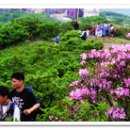 화개리 군민운동장 이미지