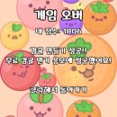 [일상] 새벽까지 🧅양파 게임하는 직장인 일상 | 아침 10분 독서 후기