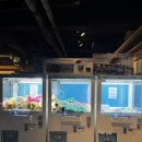 낚시 훈련소 이미지