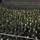 청남태권도 | 2025년 4~5월