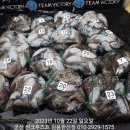 비응남로 이미지