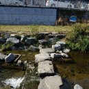 가음정천 이미지