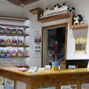 애니온동물병원 이미지