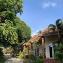 망고 스테이 이미지