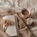 숲(Forest) 이미지