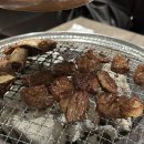 백년소갈비 | 광주 상무지구 맛집 '백년소갈비' 한정판매 소갈비와 양념갈비 비교