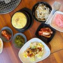 화끈한갈매기 | 서귀포현지인맛집 화끈한갈매기숯불구이 - 가성비,맛 다 챙긴 매콤갈매기 후기