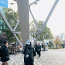 (유)초지 | 버스 다카야마 &amp; 시라카와고 1일 버스투어 직접 이용 후기 | feat.시라카와고 실시간 CCTV 날씨 확인법