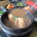 황칠옻닭삼계탕