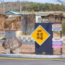 가음농장 | 2022 의성 효선마을 자두농장에서 자두꽃 사진 촬영 후기