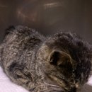 부천로46번길 이미지