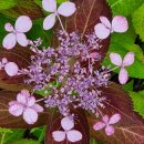 무주읍105 이미지