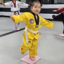 한별태권도 이미지