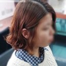 조선태헤어리즘
