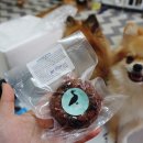 5959 내강아지 이미지