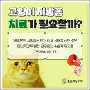 인동동물병원 이미지