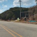 태청산 편백나무숲 트레킹길 이미지