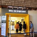 딥다이브디지털 | 강원도 평창/뮤지엄 딥다이브/발왕산 둘러본 솔직후기