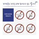 베스트 캣 이미지