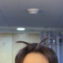 스페이스피자 이미지