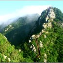 선인민박 이미지