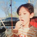 파인힐빌리지 캠핑장 이미지